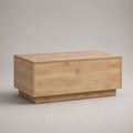 Tavolino contenitore rettangolare in pannello truciolare melaminico, rovere chiaro, 100 × 55 × 45 cm